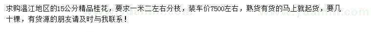 求購15公分桂花