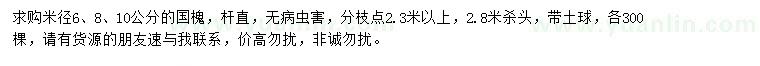 求購米徑6、8、10公分國槐