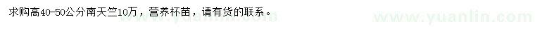 求購高40-50公分南天竺