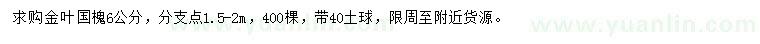 求購6公分金葉國槐