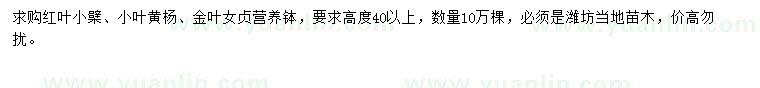 求購(gòu)紅葉小檗、小葉黃楊、金葉女貞