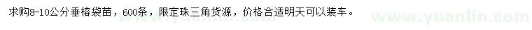 求購8-10公分垂榕