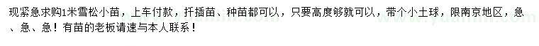 求購1米雪松小苗