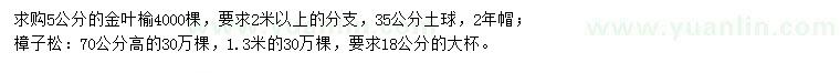 求購金葉榆、樟子松
