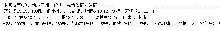 求購藍(lán)花楹、銀葉樹、臘腸樹等