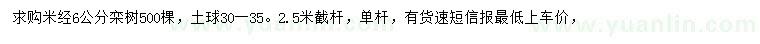 求購米徑6公分欒樹