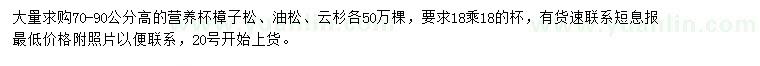 求購樟子松、油松、云杉
