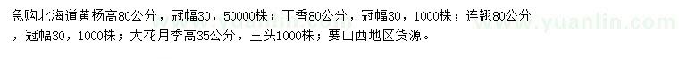 求購北海道黃楊、丁香、連翹等