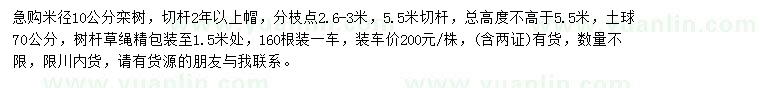 求購米徑10公分欒樹