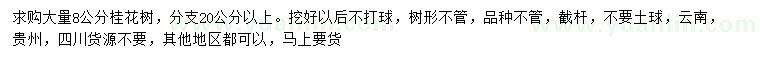求購8公分桂花樹
