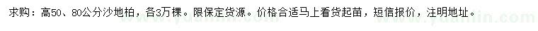 求購高50、80公分沙地柏