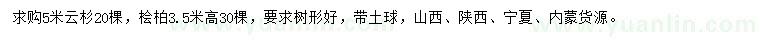求購5米云杉、3.5米檜柏