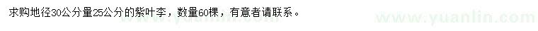 求購30公分量25公分紫葉李
