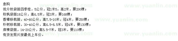 求購四季桂、秋楓、香樟等