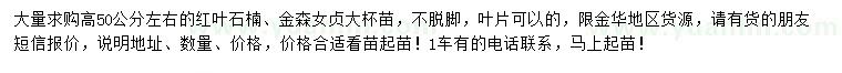 求購高50公分左右紅葉石楠、金森女貞