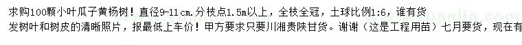 求購9-11公分小葉瓜子黃楊樹