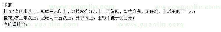 求購(gòu)高3、4米以上桂花