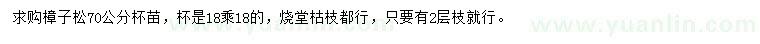 求購70公分樟子松