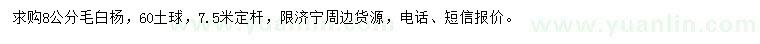 求購8公分毛白楊