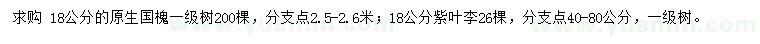 求購(gòu)18公分國(guó)槐、紫葉李