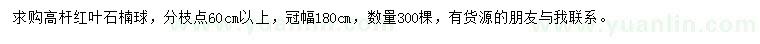 求購冠1.8米高桿紅葉石楠球