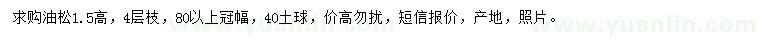 求購(gòu)高1.5米油松