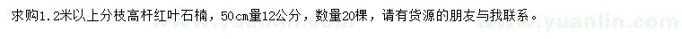 求購(gòu)50公分量12公分高桿紅葉石楠