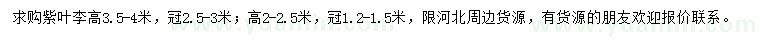 求購(gòu)高3.5-4米紫葉李