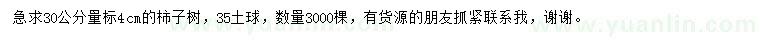 求購30公分量4公分柿子樹