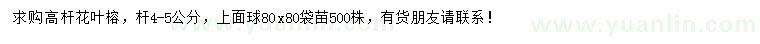求購桿4-5公分高桿花葉榕