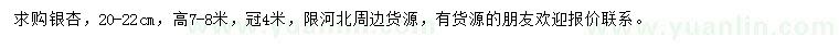 求購20-22公分銀杏