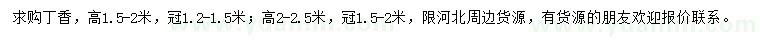 求購高1.5-2、2-2.5米丁香