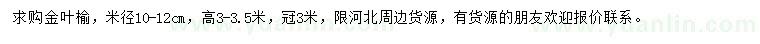 求購米徑10-12公分金葉榆