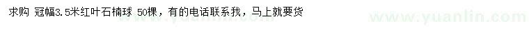 求購冠幅3.5米紅葉石楠球