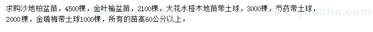 求購沙地柏、金葉榆、大花水椏木等