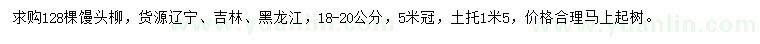 求購(gòu)18-20公分饅頭柳