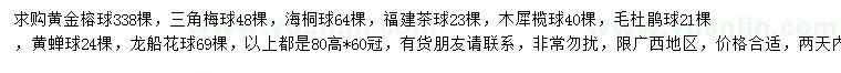 求購黃金榕球、三角梅球、海桐球等