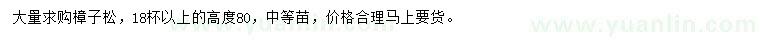 求購(gòu)高80公分樟子松
