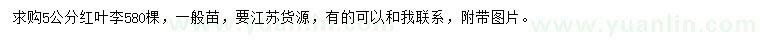 求購(gòu)5公分紅葉李