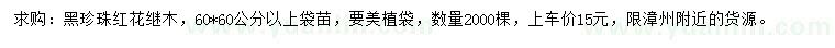 求購黑珍珠紅花繼木
