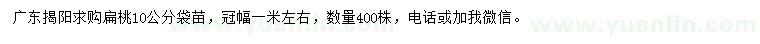 求購10公分扁桃