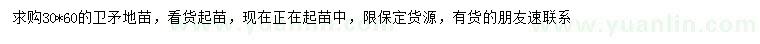 求購30*60公分衛(wèi)矛地苗