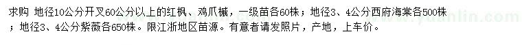 求購紅楓、雞爪槭、西府海棠等