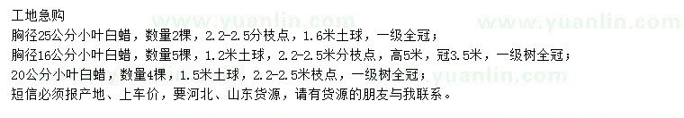 求購(gòu)小葉白蠟