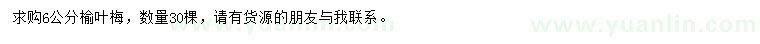 求購6公分榆葉梅