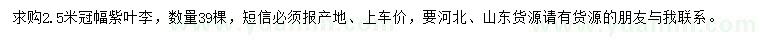 求購冠2.5米紫葉李