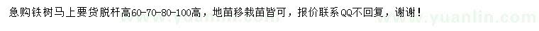 求購(gòu)鐵樹(shù)
