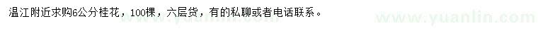 求購6公分桂花