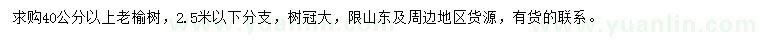 求購40公分以上老榆樹