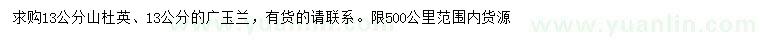 求購(gòu)13公分山杜英、廣玉蘭